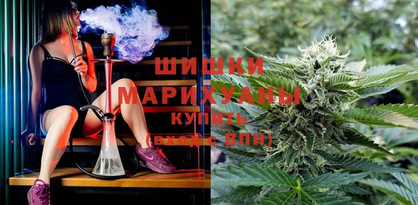 молекула духа Абинск