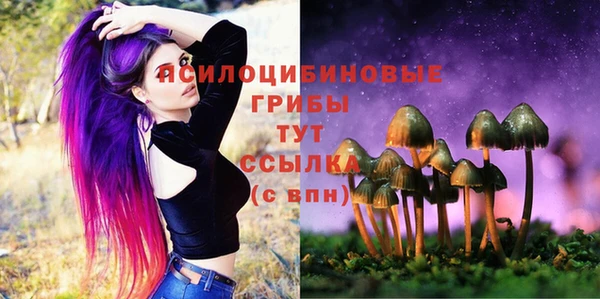молекула духа Абинск