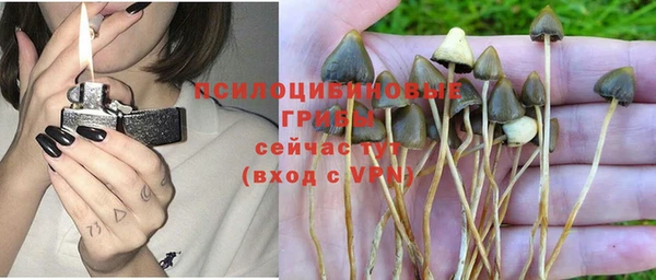 молекула духа Абинск