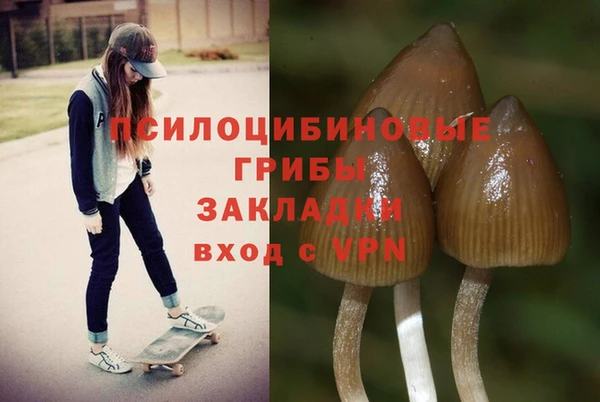 круглые Абаза